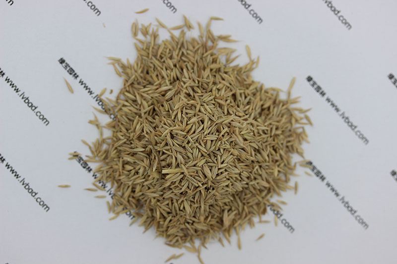 <a href='http://www.njszjj.com/mucaozhongzi/8.html' target='_blank'>鴨茅草種子</a>