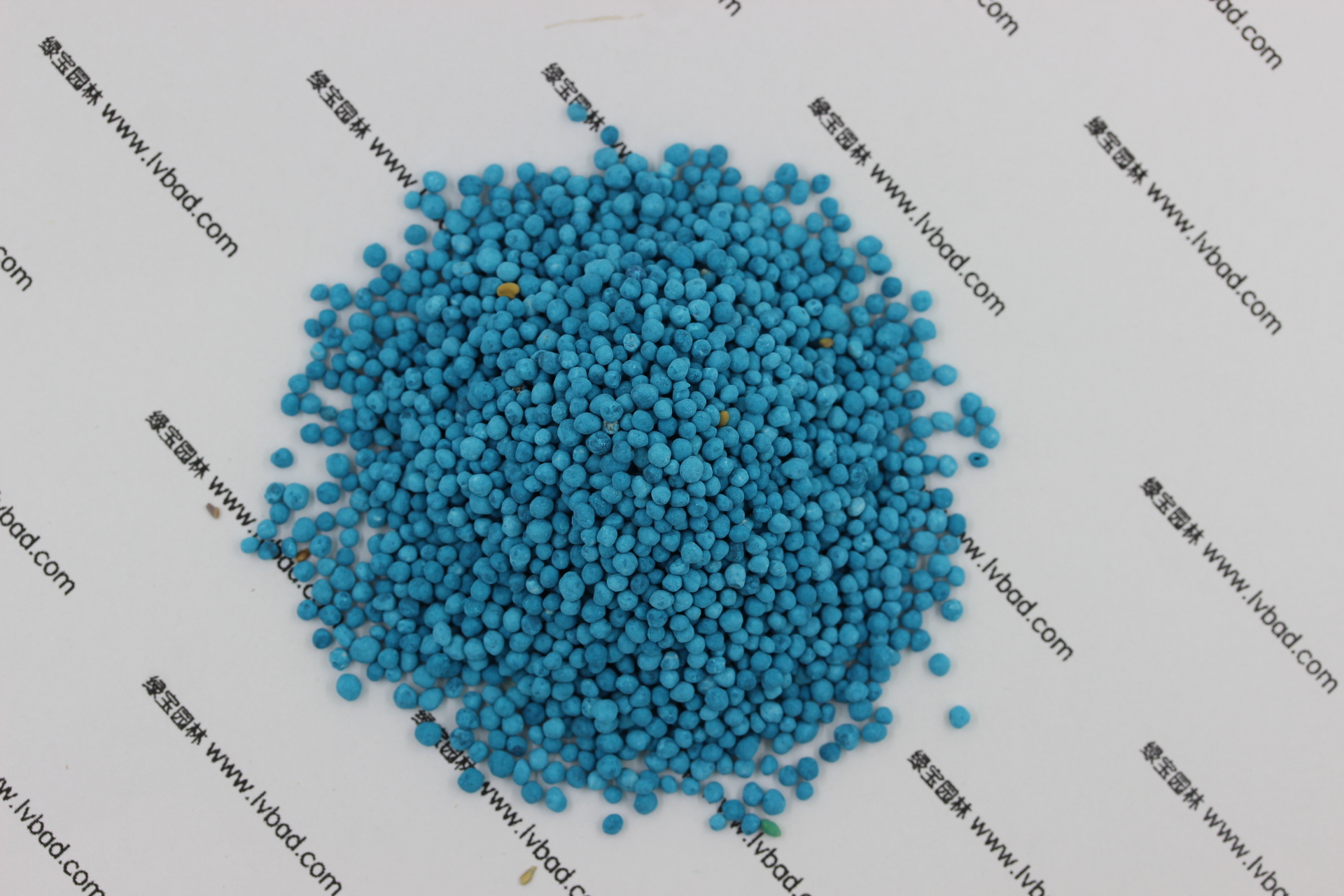 <a href='http://www.njszjj.com/caopingzhongzi/1672.html' target='_blank'>馬蹄金種子</a>