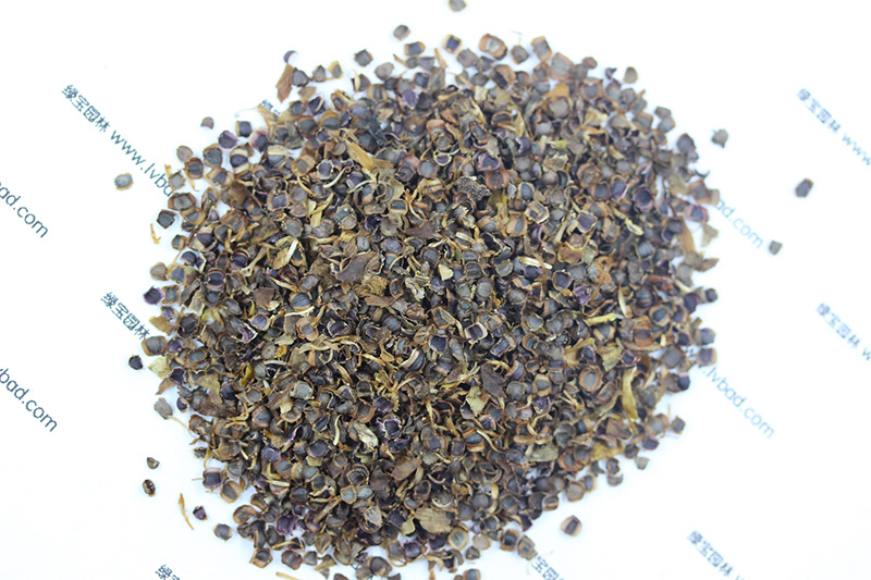 <a href='http://www.njszjj.com/caohuazhongzi/1568.html' target='_blank'>金雞菊種子</a>