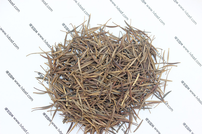<a href='http://www.njszjj.com/caohuazhongzi/1583.html' target='_blank'>硫華菊種子</a>