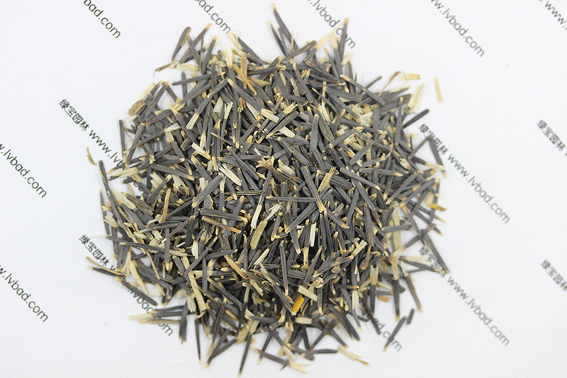<a href='http://www.njszjj.com/caohuazhongzi/1631.html' target='_blank'>萬壽菊種子</a>
