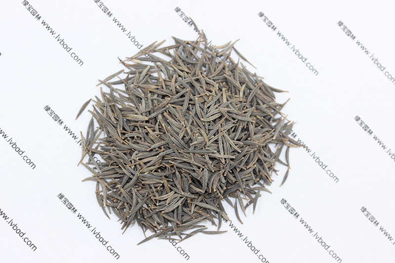 <a href='http://www.njszjj.com/caohuazhongzi/1054.html' target='_blank'>格?；ǚN子</a>