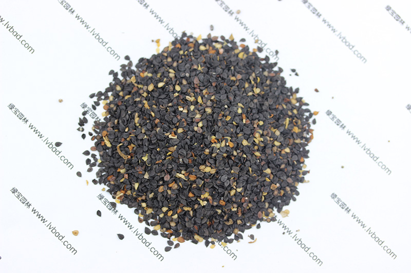 <a href='http://www.njszjj.com/caohuazhongzi/97045.html' target='_blank'>石竹</a><a href='http://www.njszjj.com/' target='_blank'>種子</a>