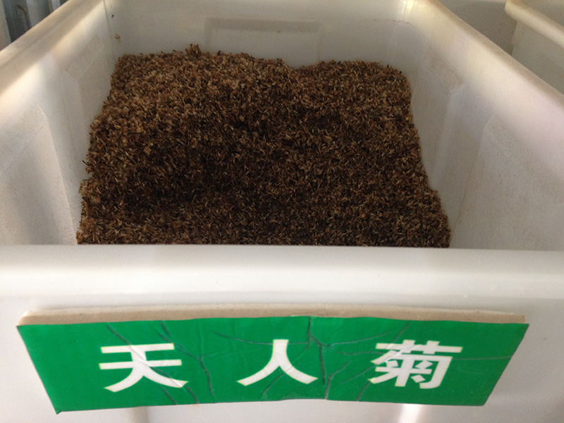 <a href='http://www.njszjj.com/caohuazhongzi/16044.html' target='_blank'>天人菊</a><a href='http://www.njszjj.com/' target='_blank'>種子</a>