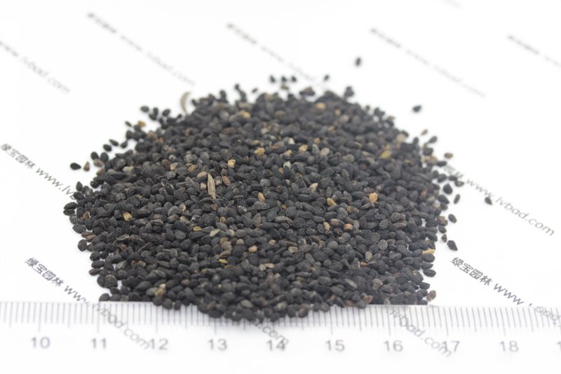 <a href='http://www.njszjj.com/caohuazhongzi/1061.html' target='_blank'>黑種草種子</a>