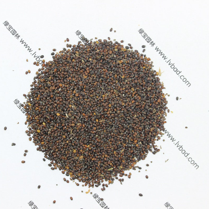 <a href='http://www.njszjj.com/caohuazhongzi/1023.html' target='_blank'>薄荷</a><a href='http://www.njszjj.com/' target='_blank'>種子</a>